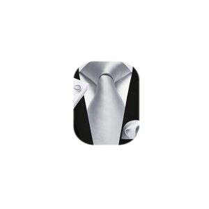 4845 White Grey Ties Solid Tie Satin Silk Classy Necktie Pocket Squares Set
